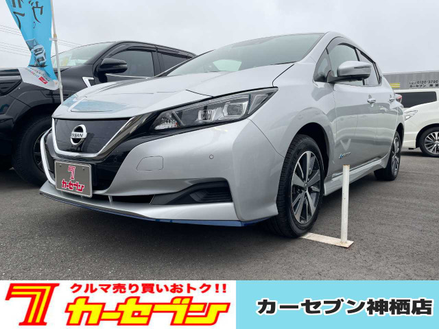 リーフe+ X