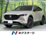 純正10型ナビ 全周囲カメラ 電動リアゲート 衝突軽減装置