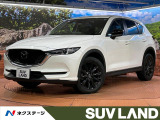 禁煙車 純正10型ナビ 全周囲カメラ 衝突被害軽減システム レークル