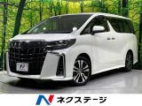 純正10型ナビ 後席モニター バックカメラ 禁煙車 両側電動ドア ETC