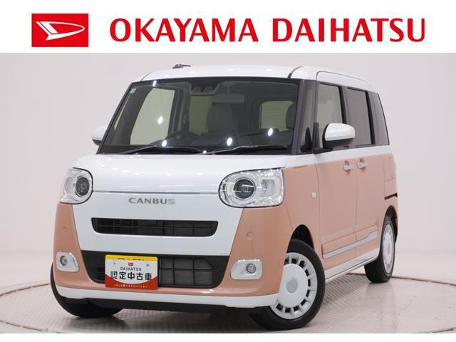 ムーヴキャンバス  ストライプス G