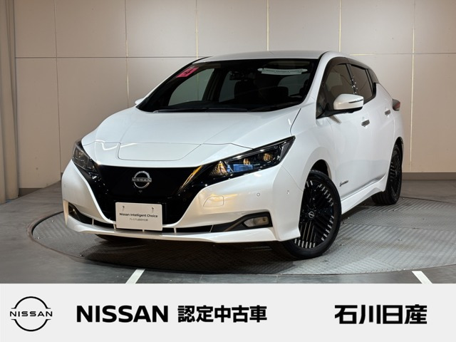 リーフ G 