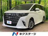 純正14型ナビ 全周囲カメラ 両側電動ドア 100V電源