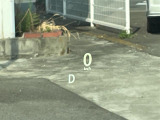 ◆【お問い合わせください】写真の内容に関してやおクルマ購入までの流れなどご不明点、ご質問等がございましたらお気軽にガリバー店舗までお問い合わせください。