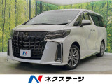 9型DA 両側電動ドア バックカメラ CD/DVDデッキ