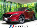 純正ナビ バックカメラ 衝突被害軽減システム 禁煙車 電動リアゲート