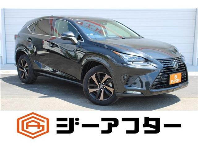 NX 300 ブラック シークエンス