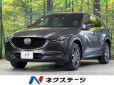 衝突軽減装置 レーダークルーズ ブラインドスポットモニタリング