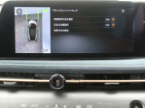 プロパイロットパーキング &プロパイロットリモートパーキング付きになります。