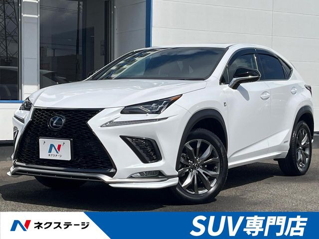 NX 300h Fスポーツ