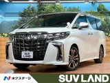 禁煙 サンルーフ シグネチャーイルミ BIG-X11型ナビ バックカメラ