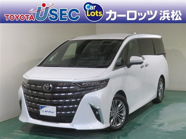 アルファード 2.5 Z ヒョウガイ