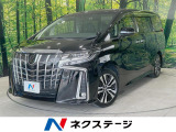 両側電動ドア 100V電源 レーダークルーズ 電動リアゲート
