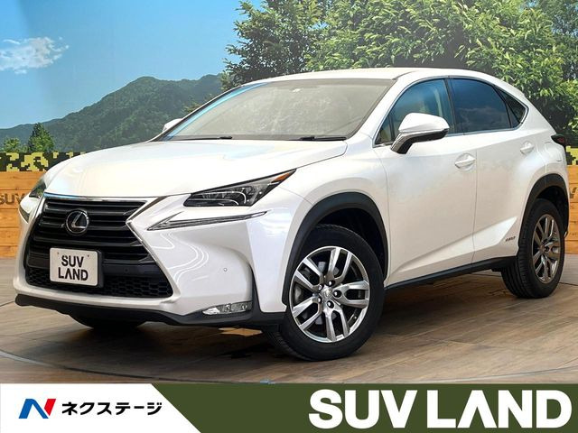 NX 300h Iパッケージ