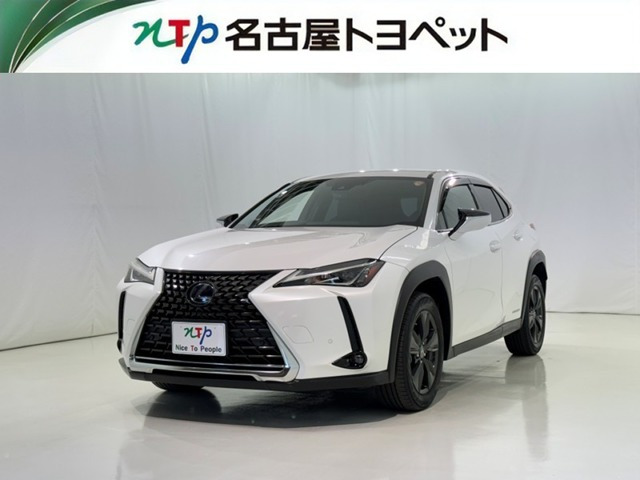 UX 250h バージョンC