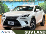 禁煙車 サンルーフ 10型ナビ バックカメラ レーダークルーズ ETC