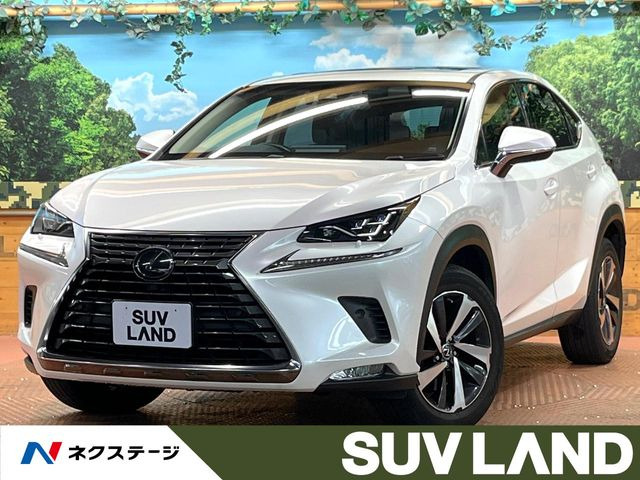 NX 200t Iパッケージ