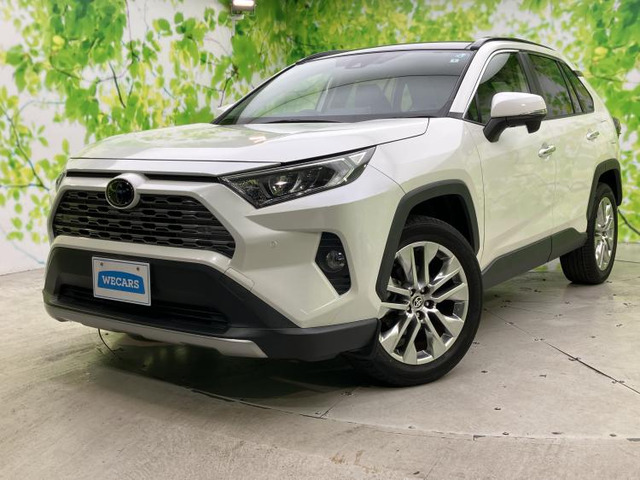 RAV4 2.0 G Zパッケージ 4WD 