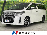 後席モニター 純正9型SDナビ バックカメラ 寒冷地仕様 BSM 禁煙車
