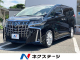 衝突軽減防止装置 両側電動スライドドア 純正SDナビ フリップダウン