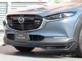 ★Auto Exe特別架装★フロントグリル・フロントアンダースポイラー