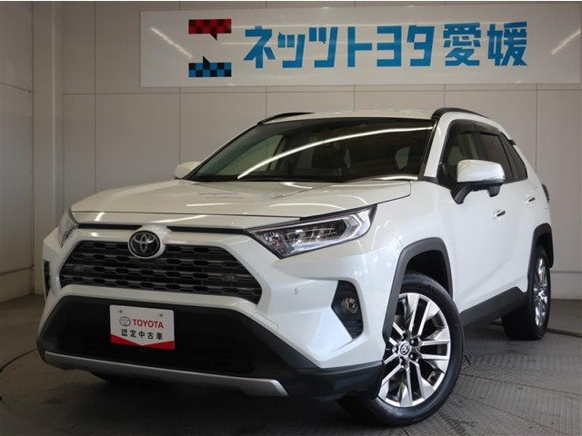 RAV4 2.0 G Zパッケージ 4WD