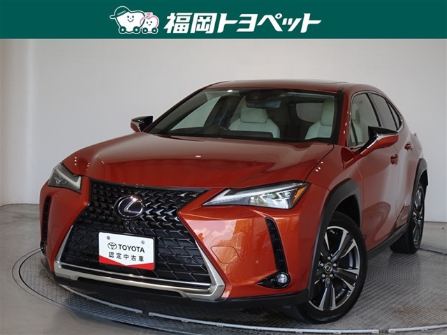 UX 250h バージョンL