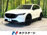 純正10.25型ナビ 全周囲カメラ 衝突軽減ブレーキ レーダークルーズ