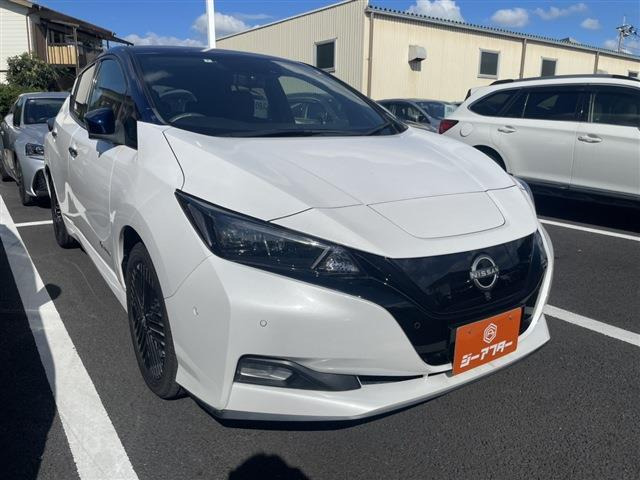 リーフ e+ G 禁煙車 ハーフレザーシート ブラインドス