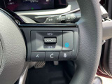 プロパイロットで高速道路の運転が楽で長距離での疲れが軽減できると思います。