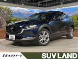 全周囲カメラ 純正ディスプレイ 衝突軽減 レーダークルーズ