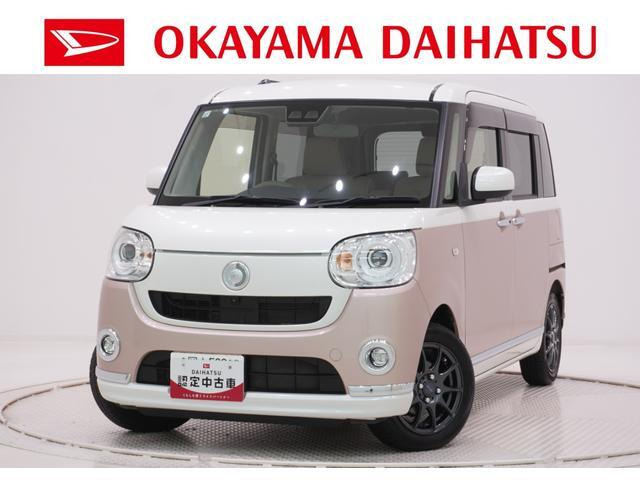 ムーヴキャンバス G メイクアップ SAIII 