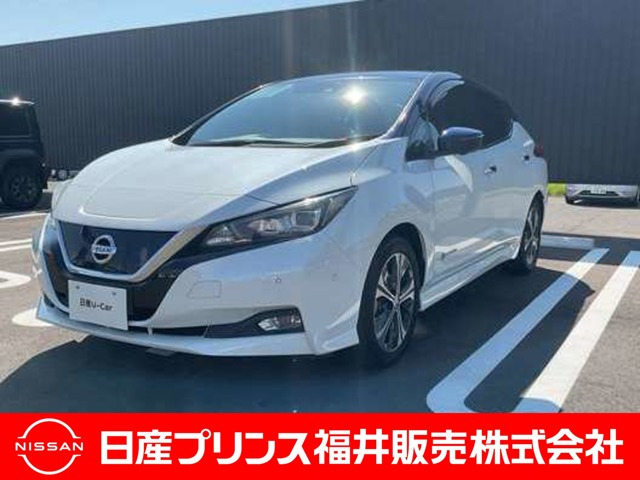 リーフ G 