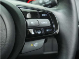 ◆アダプティブクルーズコントロール◆予め設定した車速内でクルマが自動的に加減速。前走車との適切な車間距離を維持しながら追従走行します。【LKAS】車線維持支援システムでステアリング操作を支援。