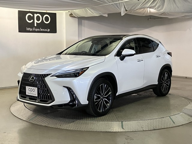 NX 250 バージョンL NX 250 バージョンL