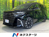 100V電源 レーダークルーズ 禁煙車 電動リアゲート レザーシート