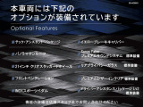 ●オプション一覧