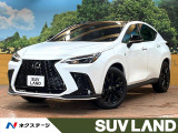 パノラマルーフ 14型ナビ 全周囲カメラ ルーフレール AC100V電源