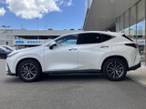 NX 250 バージョンL 4WD 