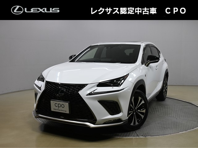 NX 300h Fスポーツ