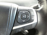 ステアリングスイッチで車両情報を切り替えて必要な情報を確認したりできます。