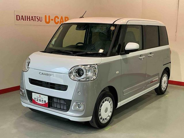 ムーヴキャンバス  ストライプス G