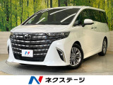 左右独立ムーンルーフ フリップダウンモニター トヨタチームメイト