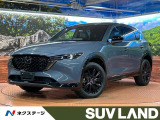 衝突被害軽減システム レーダークルーズコントロール 禁煙車 電動リアゲー