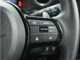 ◆アダプティブクルーズコントロール◆予め設定した車速内でクルマが自動的に加減速。前走車との適切な車間距離を維持しながら追従走行します。【LKAS】車線維持支援システムでステアリング操作を支援。