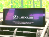 NX 300h スパイス&シック 