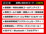 ヴェルファイア 2.5 Z Aエディション ゴールデンアイズ プリクラ&レーダーC