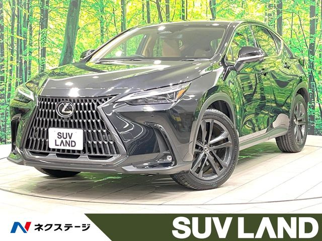 NX 250 バージョンL
