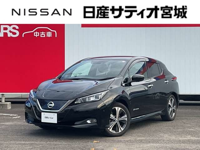 リーフ G 
