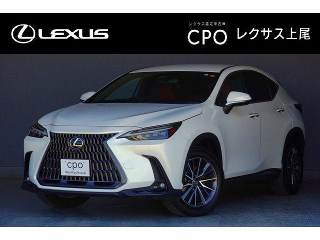 NX 250 バージョンL NX 250 バージョンL
